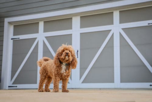 How do I make my garage door safer for pets